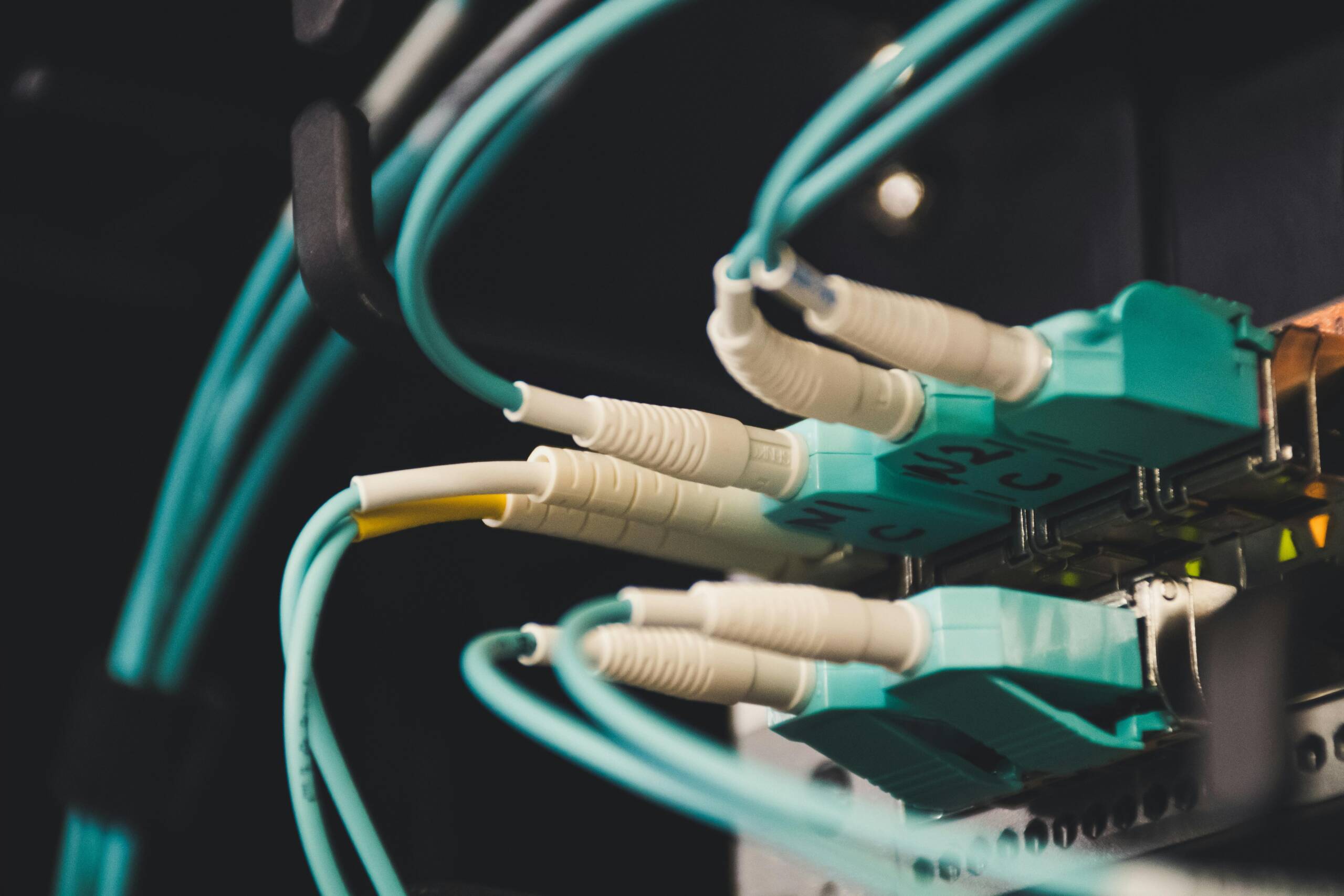 Sortides Professionals en el Camp de les Telecomunicacions